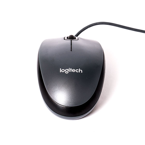 Logitech Mouse Model M100.jpg